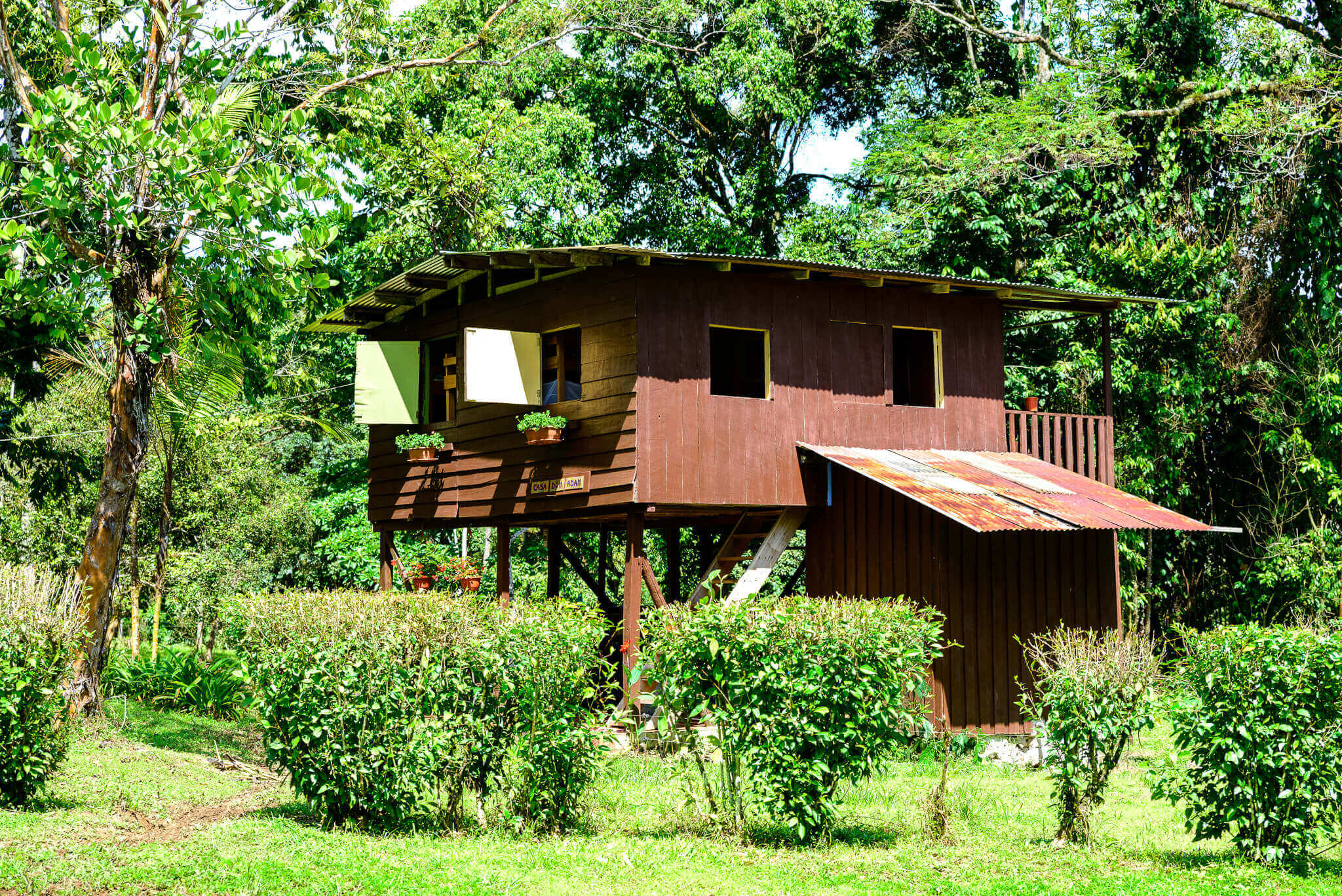 Cabina 3 1