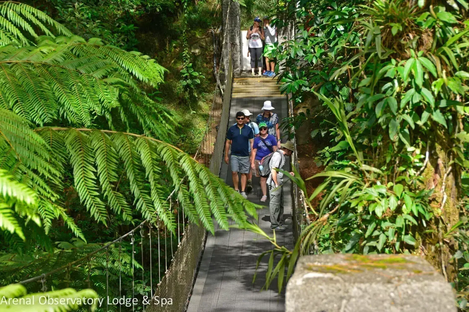 Hanging Bridge
