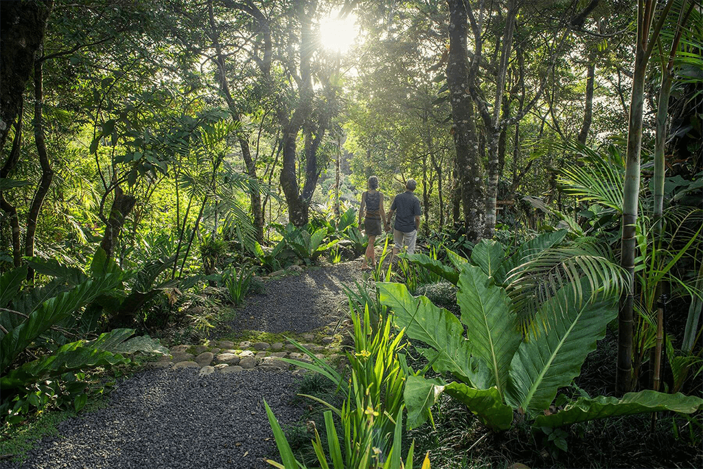 Monteverde