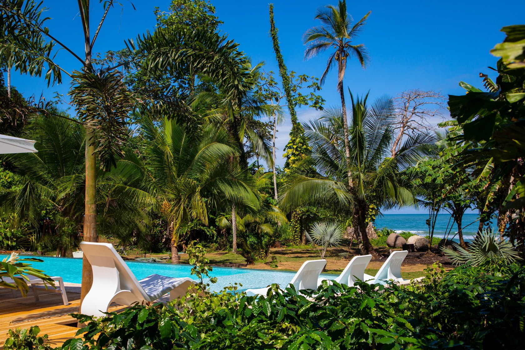 Noa Beach Club. Le Cameleon