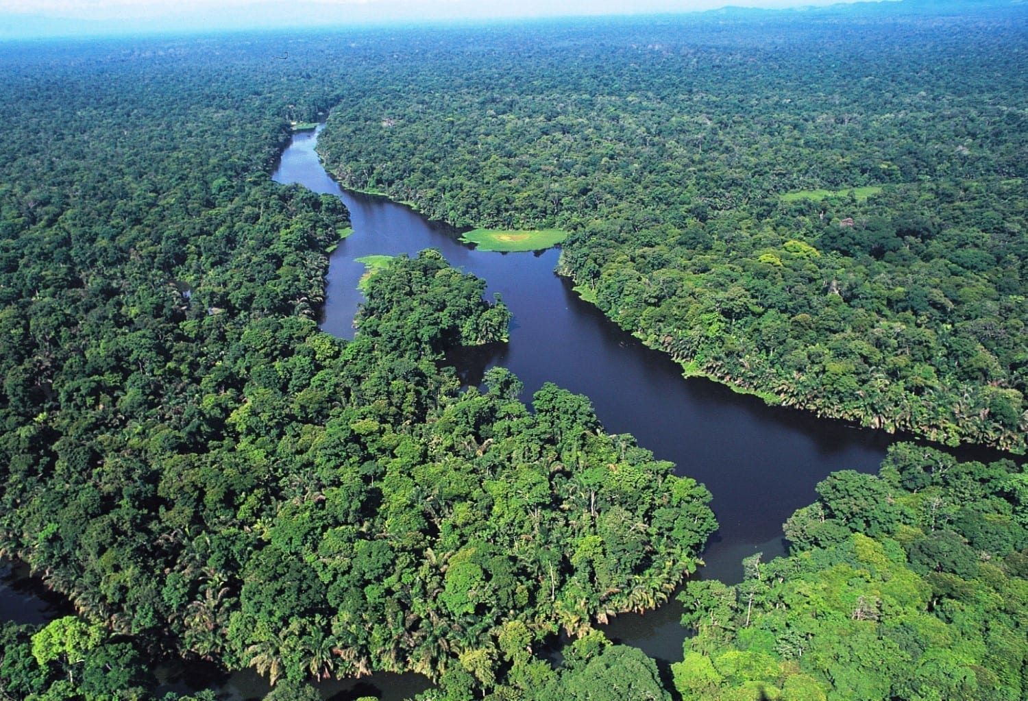 Tortuguero rivers and jungle 1