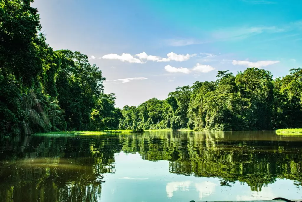 canals of Tortuguero 1024x683 1