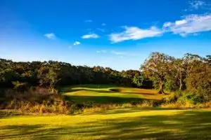 Afternoon sun golf 300x200 1