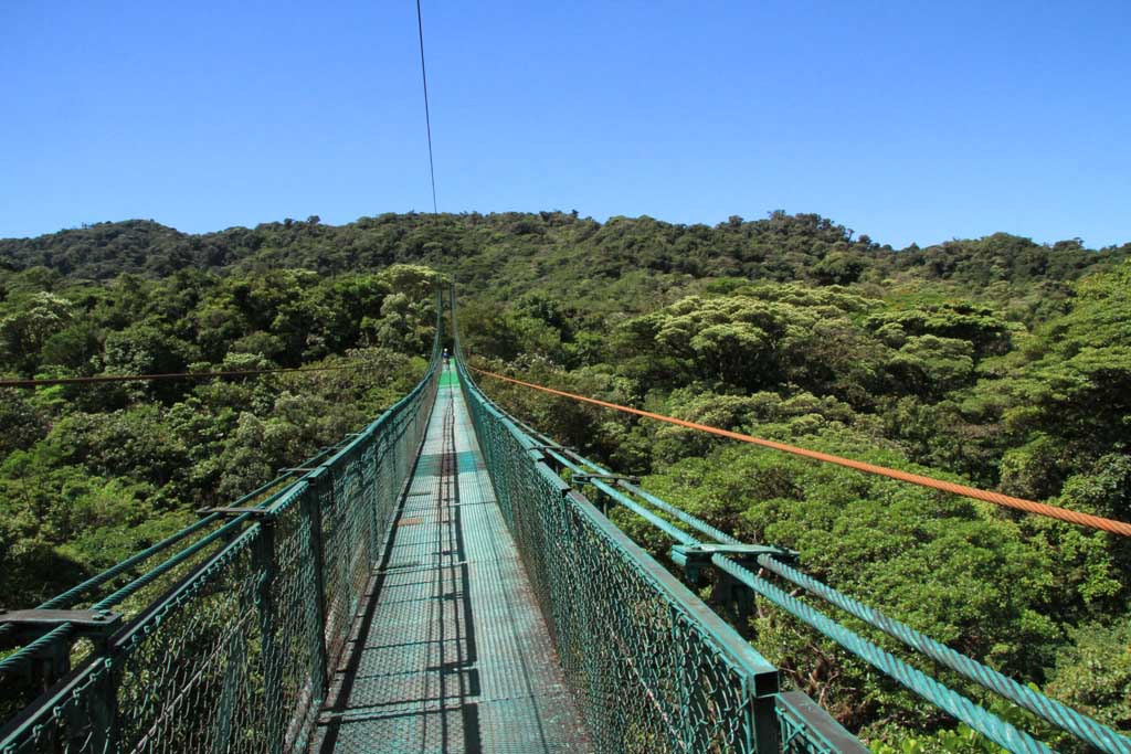 Monteverde molnregnskog hangbro