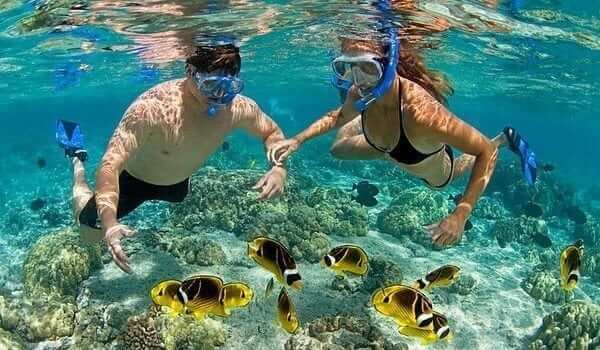 Snorkeling Tours 1