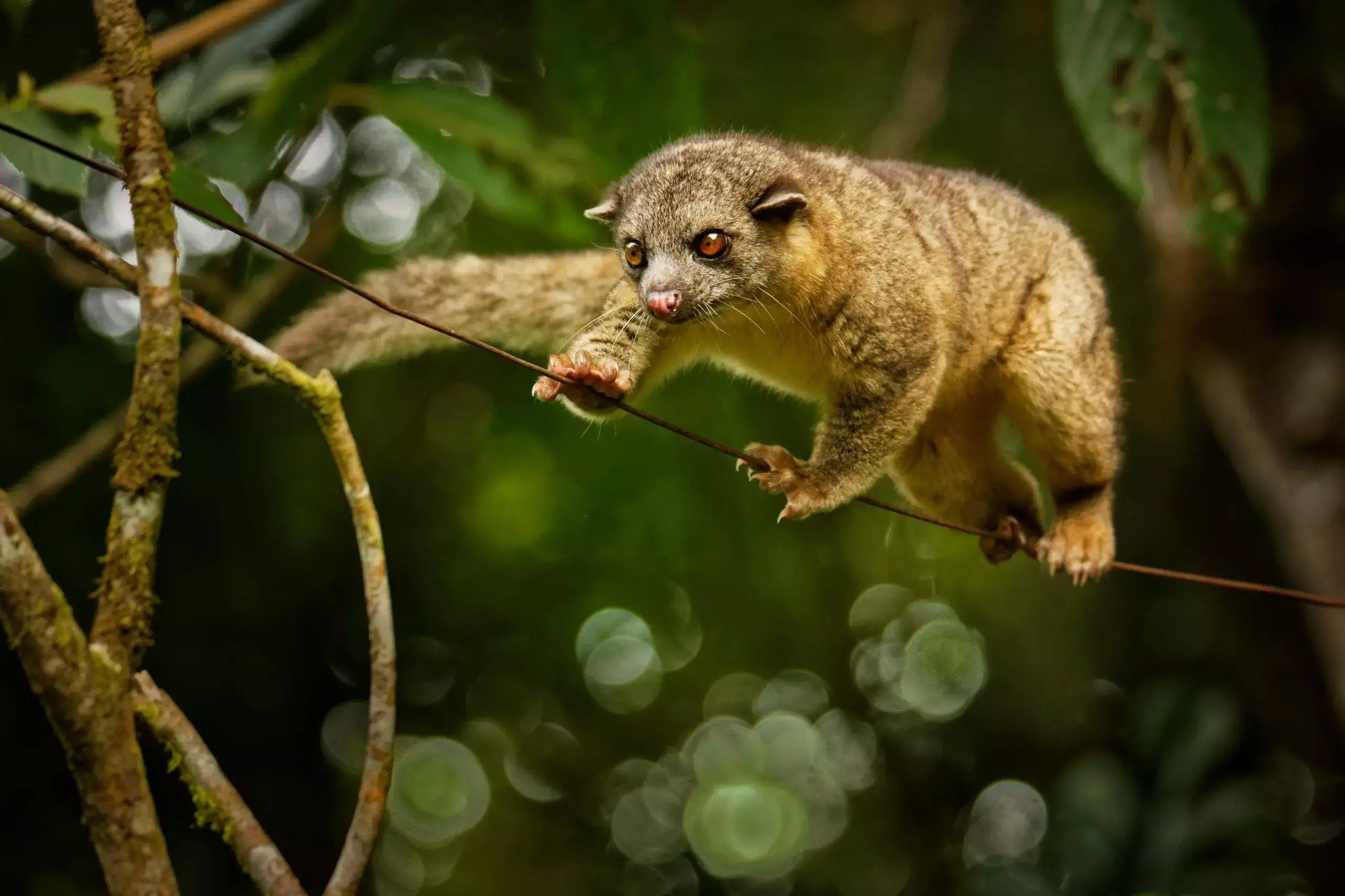 shutterstock 1289912098 1