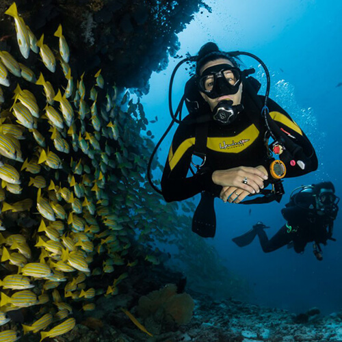 Snorkel Diving